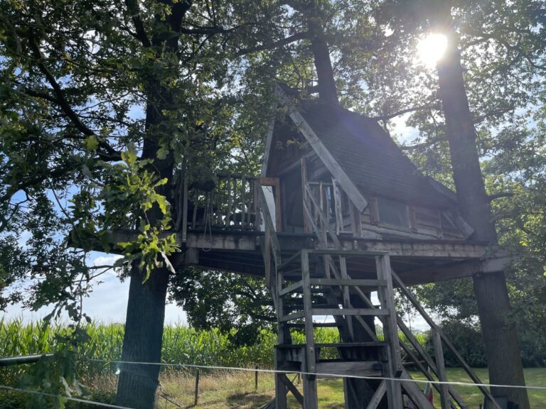 epoptea-baumhaus