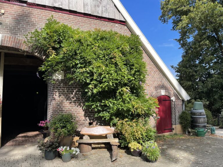 epoptea-haupthaus-3