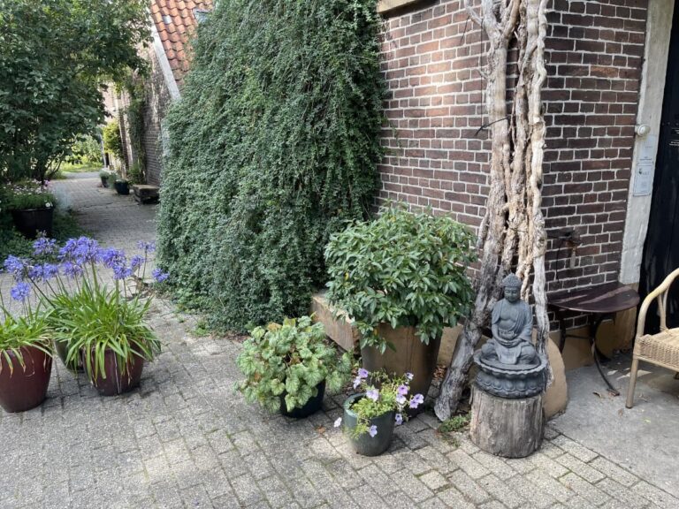 epoptea-haupthaus-buddha